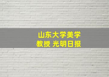 山东大学美学教授 光明日报